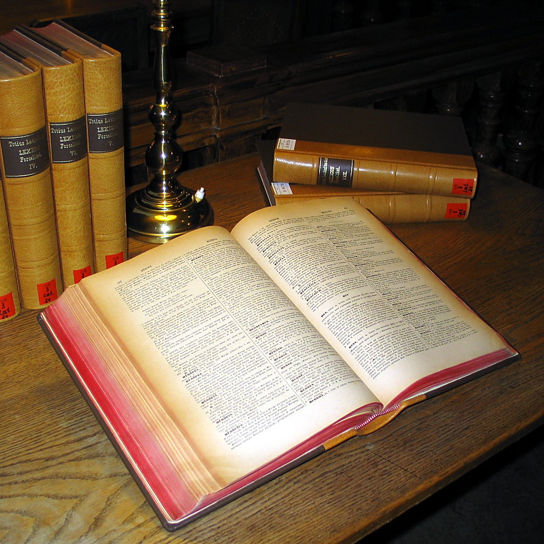 Schöner und die Bücher