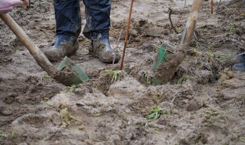 Pflanzaktion Klimawald 2024