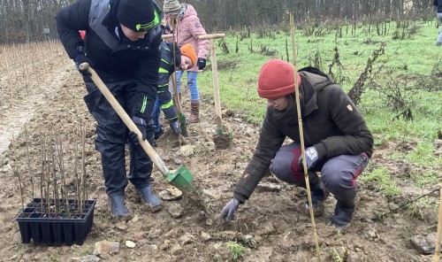 Pflanzaktion Klimawald 2024