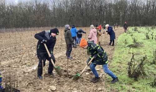 Pflanzaktion Klimawald 2024