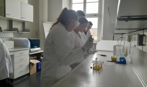 Virchow Zentrum 2024