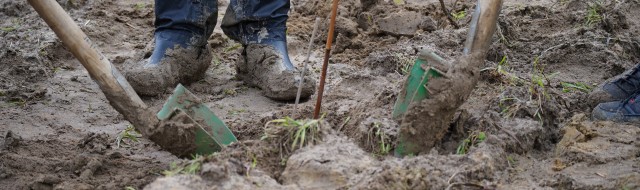 Pflanzaktion Klimawald 2024